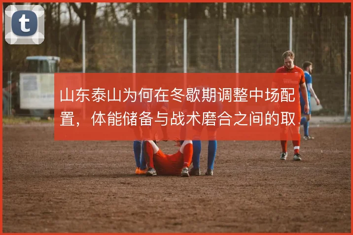 山东泰山为何在冬歇期调整中场配置，体能储备与战术磨合之间的取舍